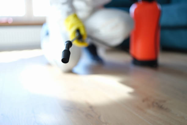 Best Crawl Space Mold Remediation  in Old Hill, CT